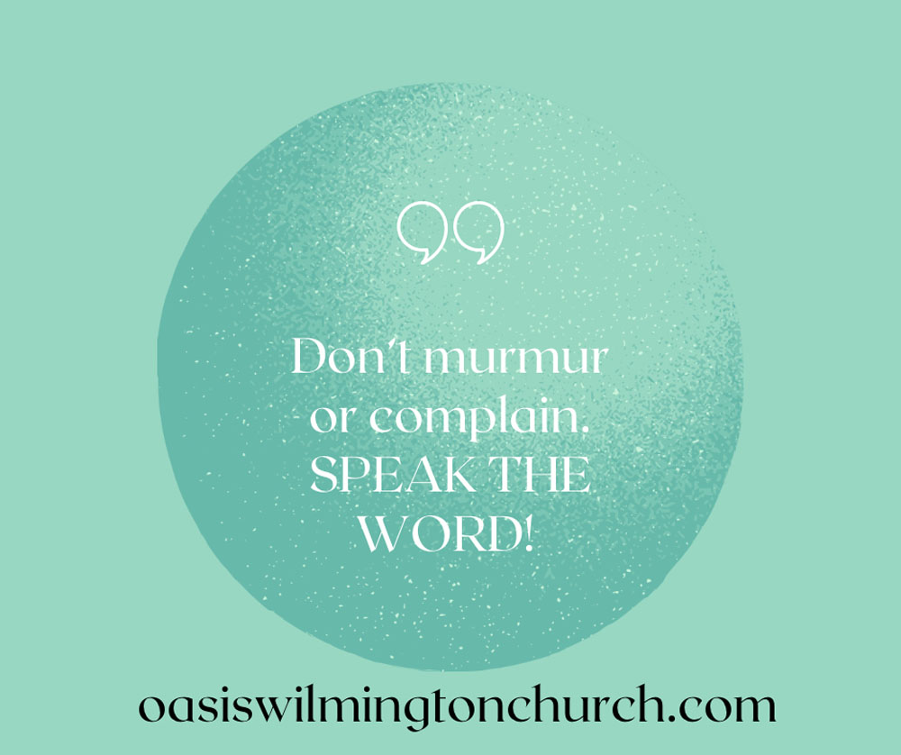 Ponder This - Weekly Reflection posted on 09-17-2024